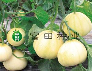 脆香甜2号