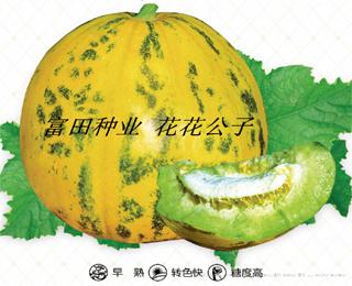 花花公子