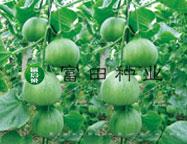 特甜蜜宝