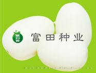 想下回二号