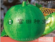 脆绿糖王