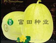 优美人