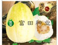挑战者