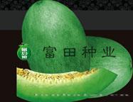 翠绿二号