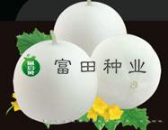 高纯2008