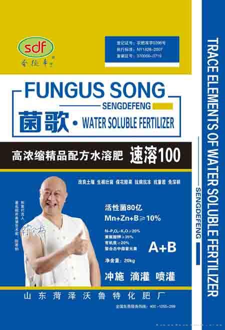 菌歌