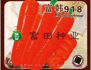 富韩918
