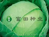 铁球