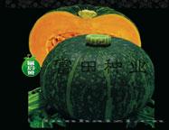 富田甘栗