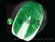 寒春