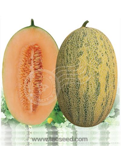 农甜25（新86）
