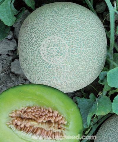 翠蜜