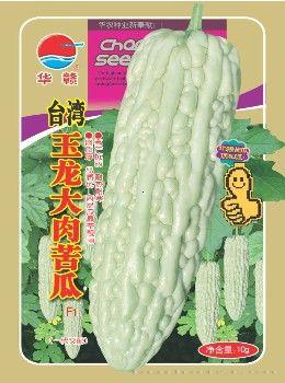 玉龙苦瓜—苦瓜种子 