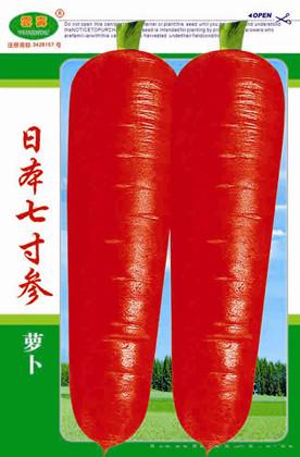 日本七寸参萝卜 -萝卜种子
