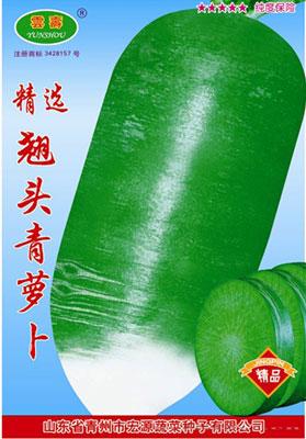精选翘头青萝卜-萝卜种子