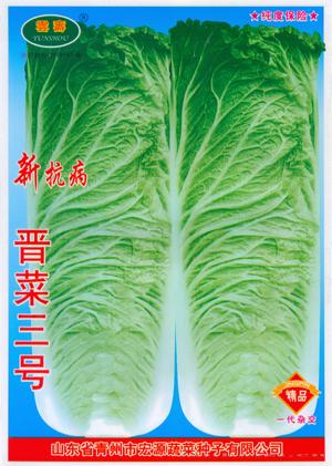 晋菜三号-白菜种子