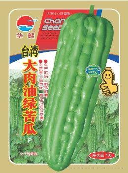 油绿苦瓜—苦瓜种子