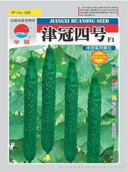 津冠四号—黄瓜种子
