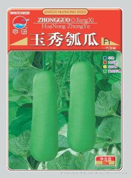 玉秀瓠子—瓠瓜种子