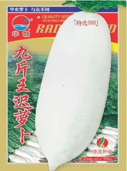 九斤王晚萝卜—萝卜种子