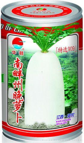 特选马尔早—萝卜种子
