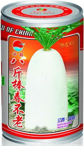 特选短叶十三—萝卜种子
