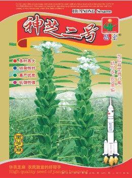 神芝八号—芝麻种子