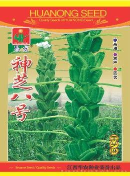 神芝八号—芝麻种子