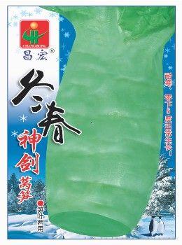冬春神剑莴笋—莴苣种子
