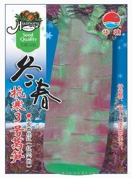 冬春抗寒3号莴笋—莴苣种子