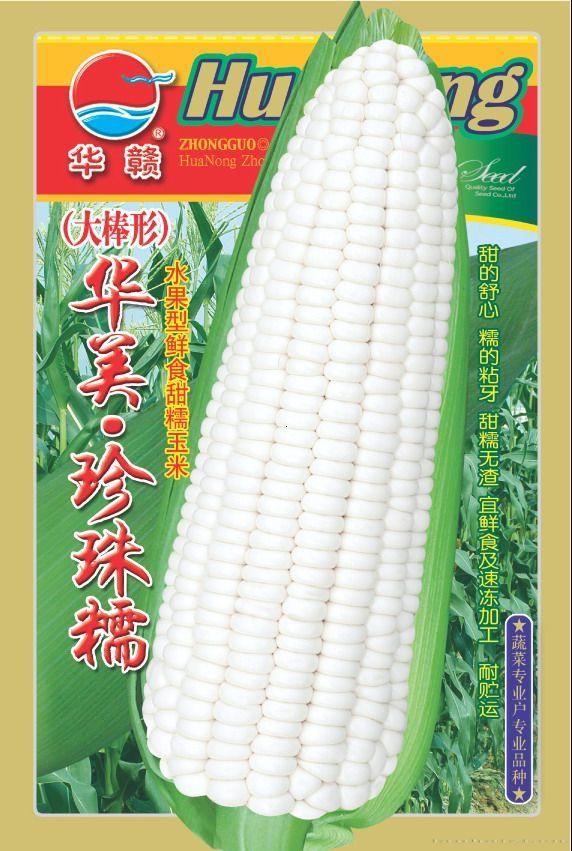 华美珍珠糯—菜用玉米种子
