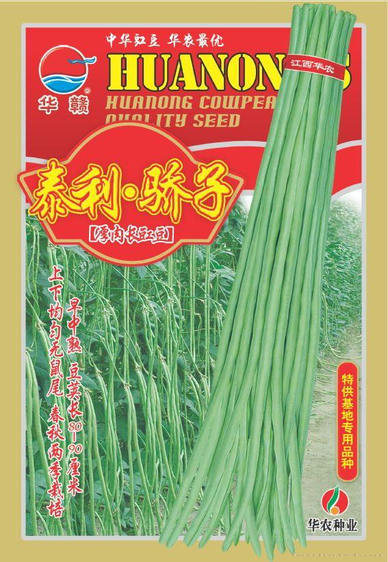 泰利•骄子—豇豆种子 
