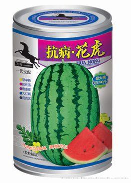 抗病花虎—西瓜种子 
