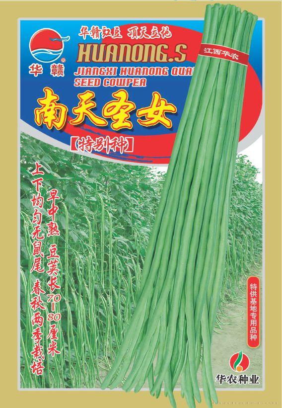 南天圣女—豇豆种子 