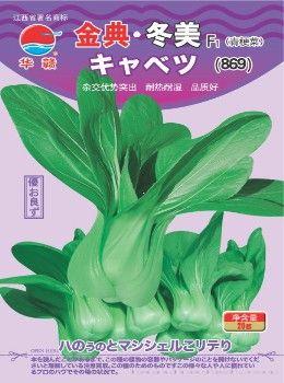 金典·冬美—青梗菜种子 