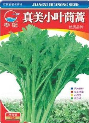 真美小叶茼蒿—茼蒿种子