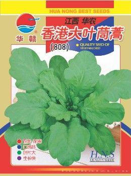 香港大叶茼蒿—茼蒿种子 