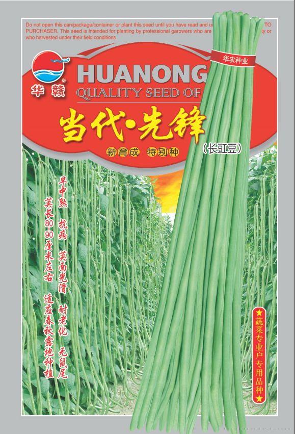 当代•先锋—豇豆种子 