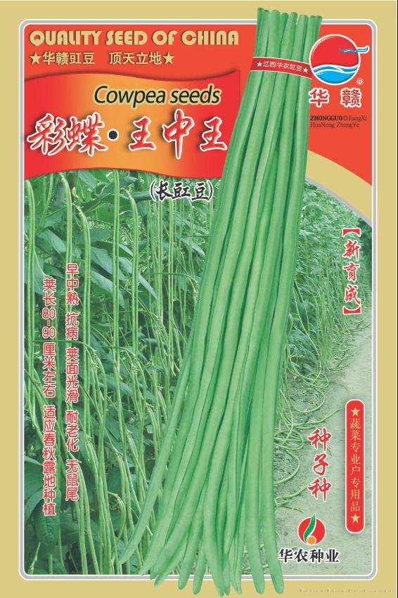 彩蝶•王中王—豇豆种子 