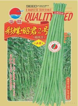 彩蝶•昭君2号—豇豆种子 