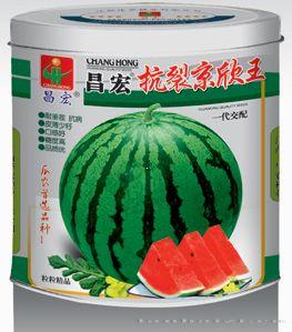 昌宏抗裂晶欣王—西瓜种子 