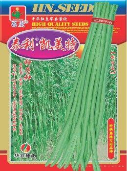 泰利•凯美特—豇豆种子