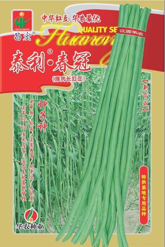 泰利•春冠—豇豆种子