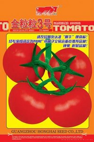 金粒粒3号
