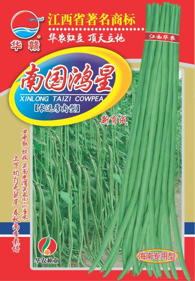 南国鸿星—豇豆种子