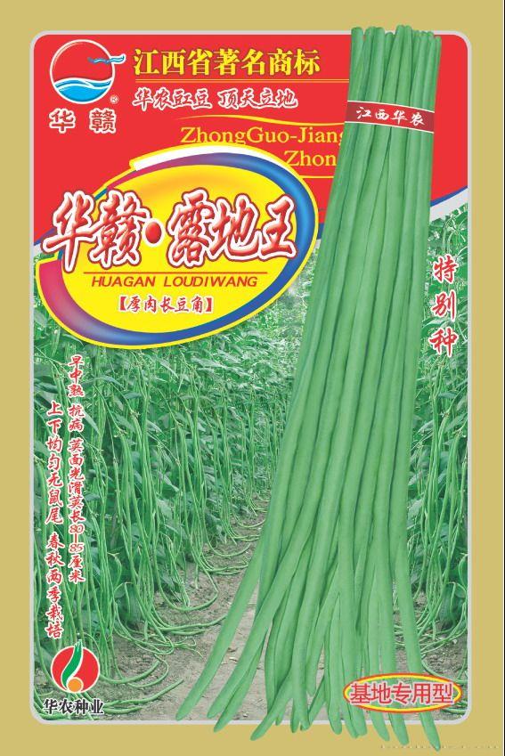 华赣•露地王—豇豆种子