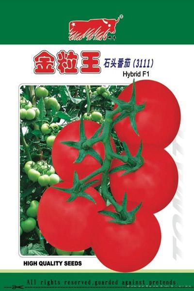 金粒王