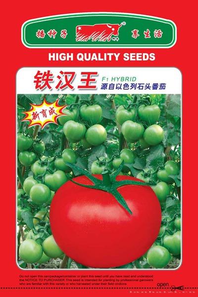 铁汉王