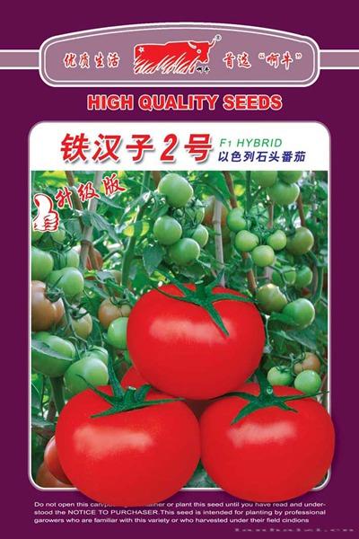 铁汉子2号（升级版）