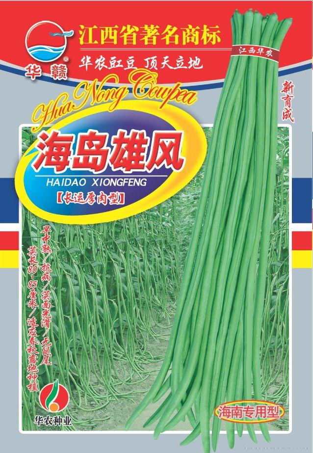 海岛雄风—豇豆种子 